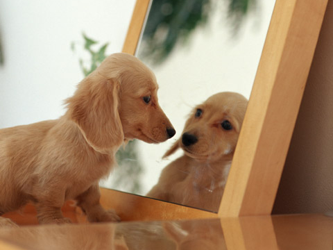 ごあいさつ写真