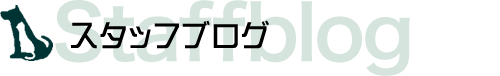 スタッフブログ