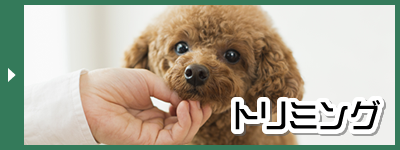 トリミング