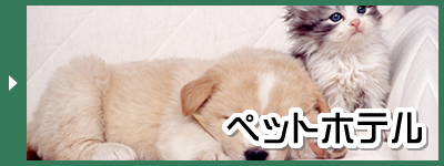 ペットホテル