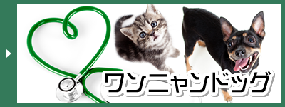 ワンニャンドッグ